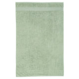 Catherine Lansfield Anti-Bacterial 500gsm 2 Piece Sage 100% Cotton Bath Sheet Towel Bale