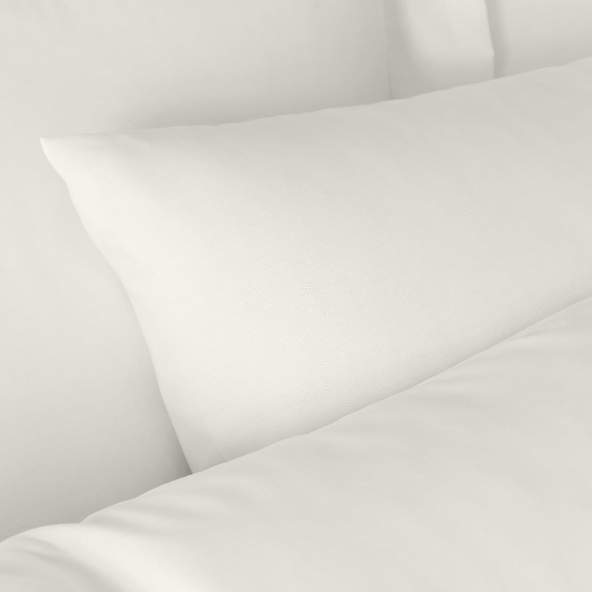 Bianca Fine Linens 180 Thread Count Egyptian Cotton Pillowcases - Egyptian Cotton Standard Pc
