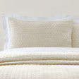 Bianca Attica Velvet Embroidered Blue Pillow Sham Pair 10