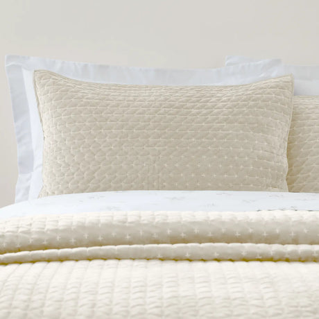 Bianca Attica Velvet Embroidered Blue Pillow Sham Pair 10