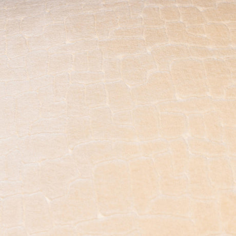 Bloomsbury Velvet Cushion Cover 20" x 20" by Paoletti