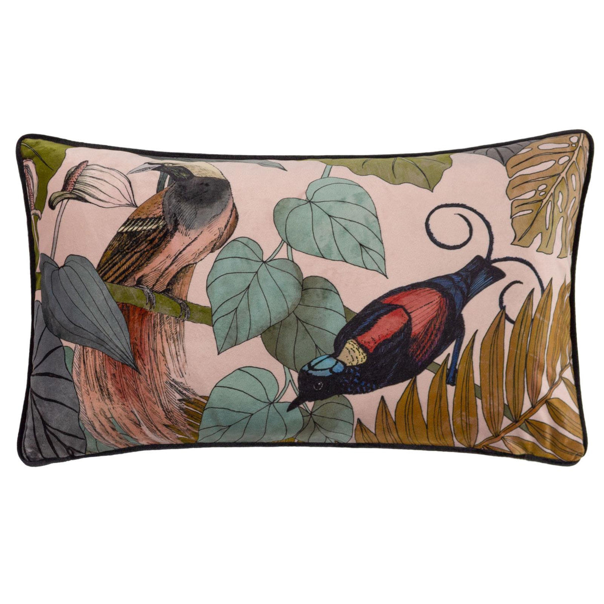 Moriyo Piped Velvet Blush Cushion Cover 12" x 20" by Wylder