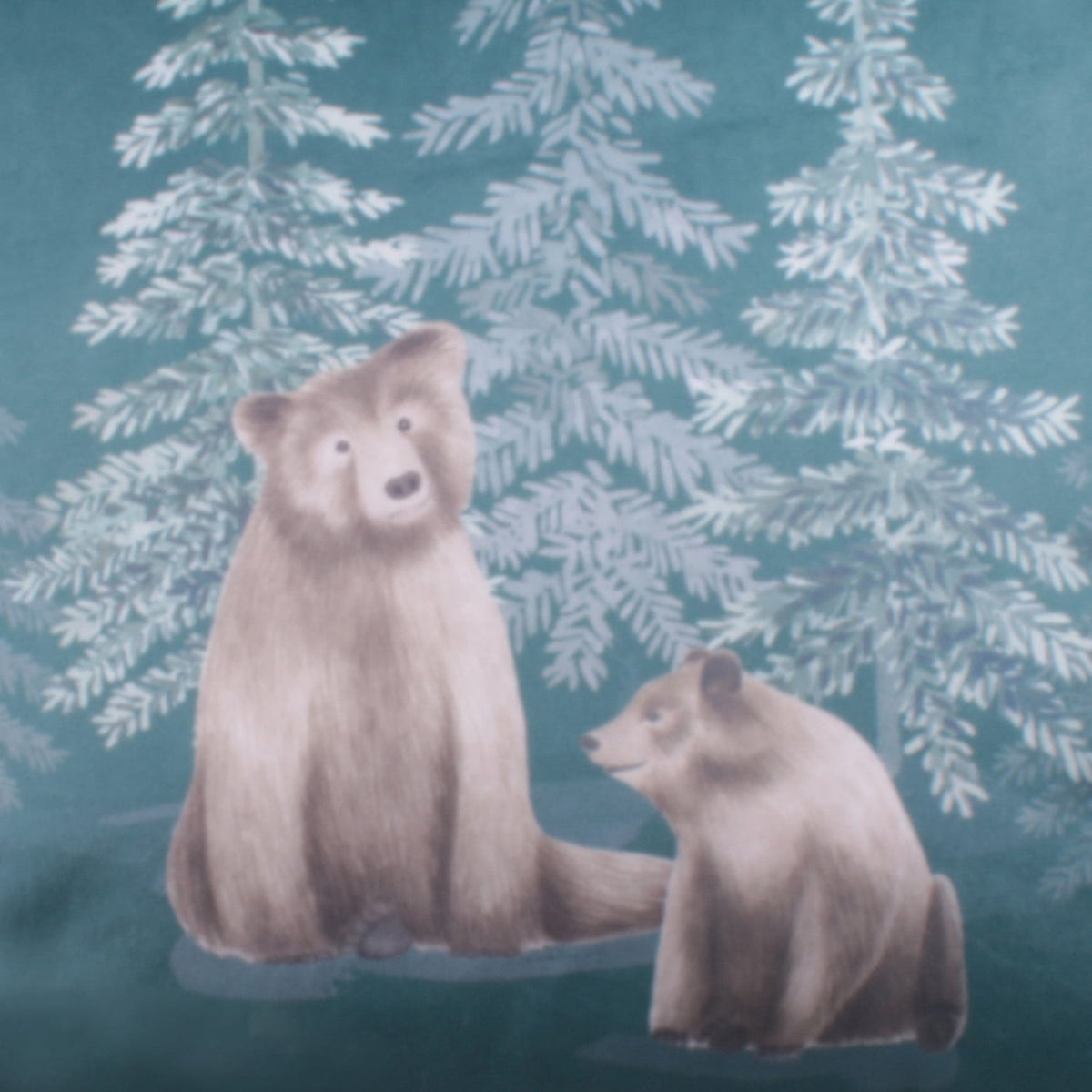 Bear Walks Forest Green Velvet Cushion Cover - Bear Walks Cushion In Teal 43 X 43Cm 5