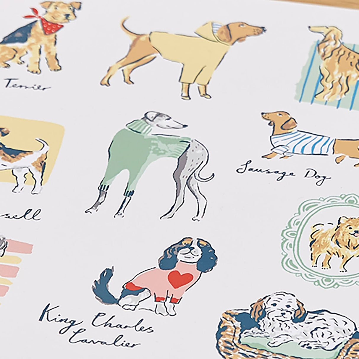 Ulster Weavers Best In Show Dog Print Placemat 4 Pack - Best In Show Placemat 4 Pack In Multicolour 3