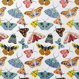 Ulster Weavers Butterfly House 100% Cotton Tea Towel