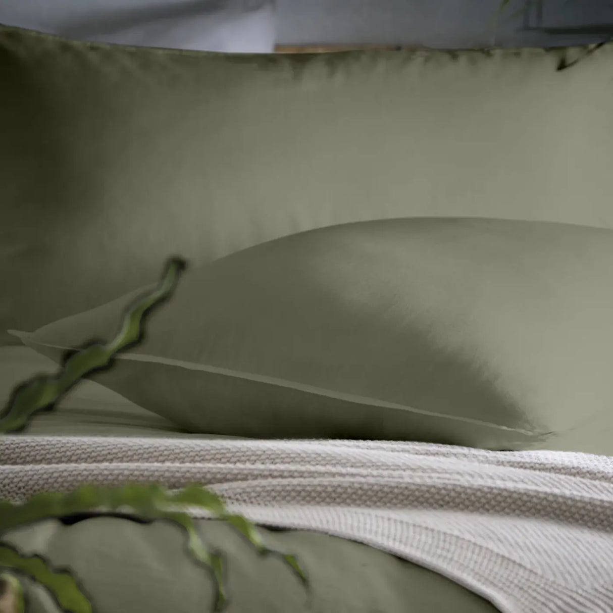 Cassia Duvet Cover Set by Appletree