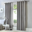 Cannes Lined Blackout Eyelet Curtains - Silver Thermal Light Filtering