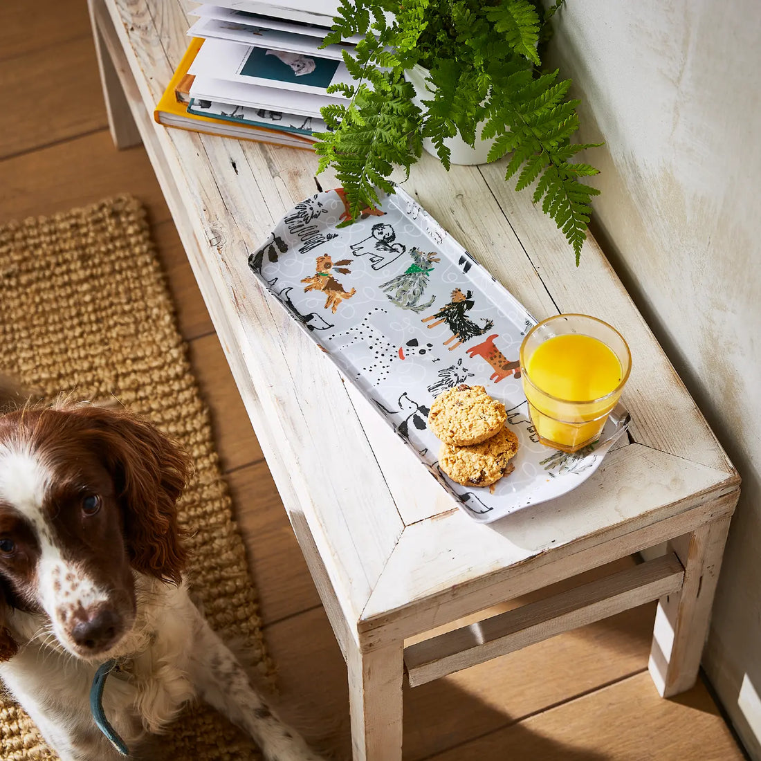 Ulster Weavers Dog Days Dog Print Small Tray