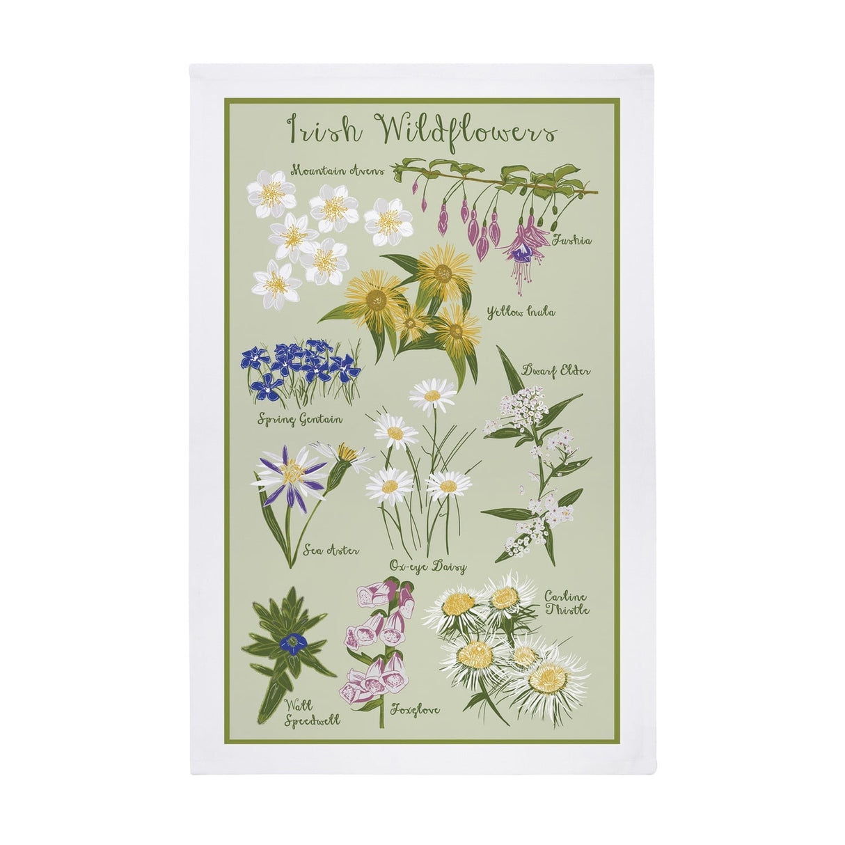 Ulster Weavers Irish Wild Flowers 100% Cotton Tea Towel in Green
