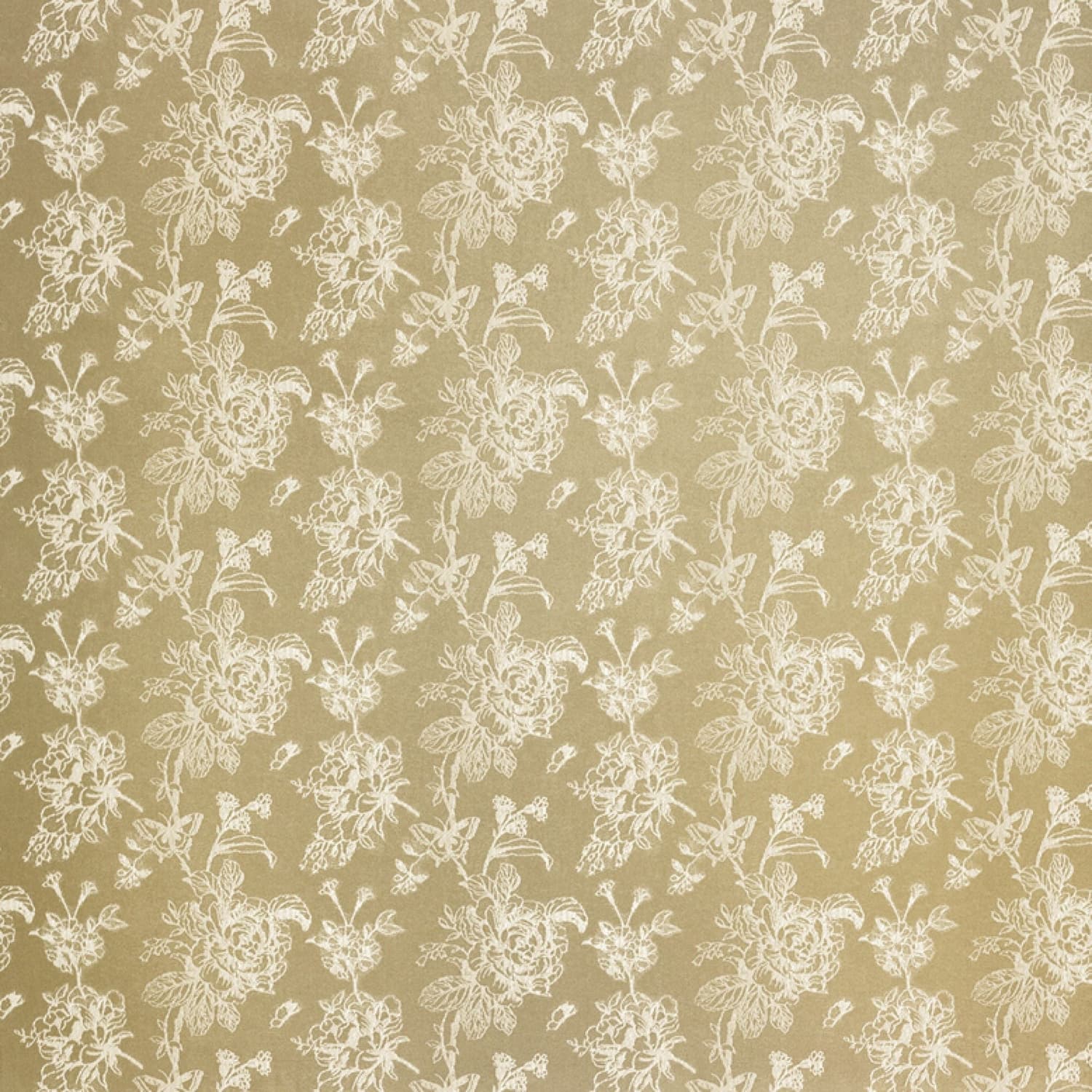 Jasmine Floral Filled Cushion 43cm x 43cm - Champage - Jasmine Cushion In Champagne 43 X 43Cm 2