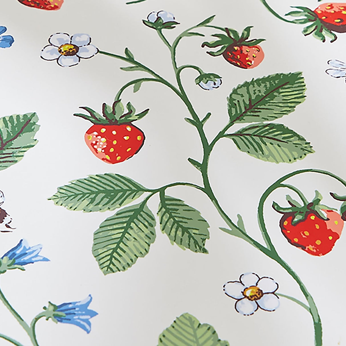 Ulster Weavers Strawberry Patch Cotton Placemat 4 Pack - Strawberry Patch Placemat 4 Pack In Green 5