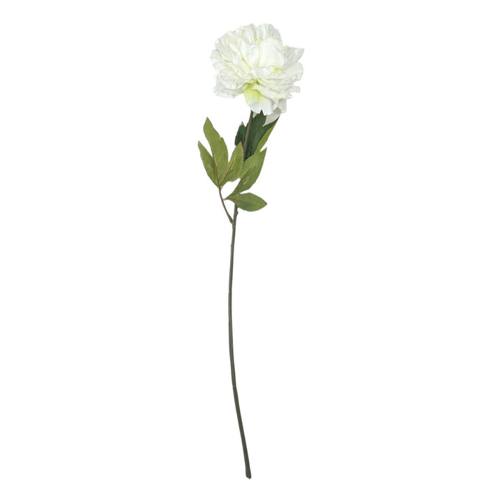 Artificial Peony Flower Stem Cream/Green - Ideal