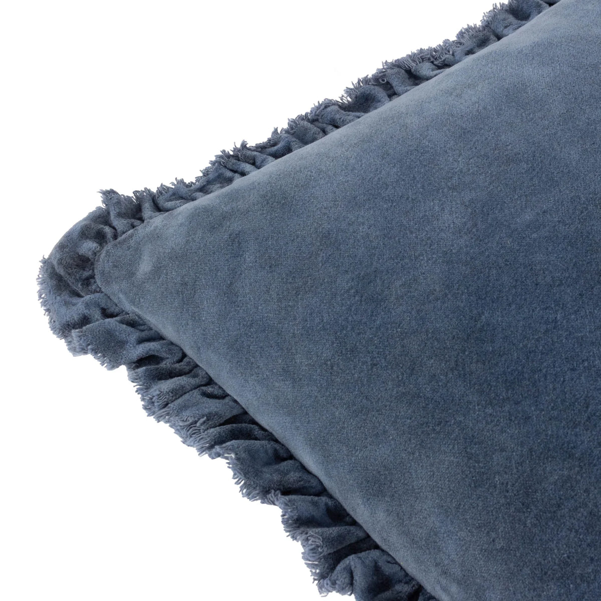Bertie 100% Cotton Velvet Ink Cushion Cover or Filled Cushion 45cm x 45cm - additional product view 5