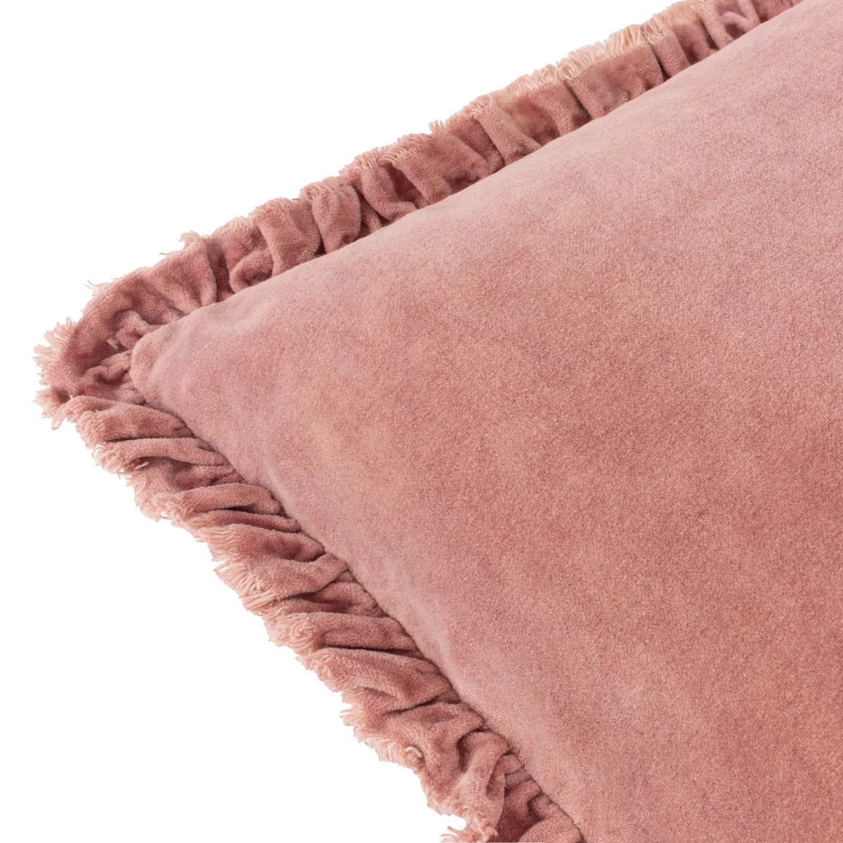 Bertie 100% Cotton Velvet Rosewood Cushion Cover or Filled Cushion 45cm x 45cm - additional product view 5
