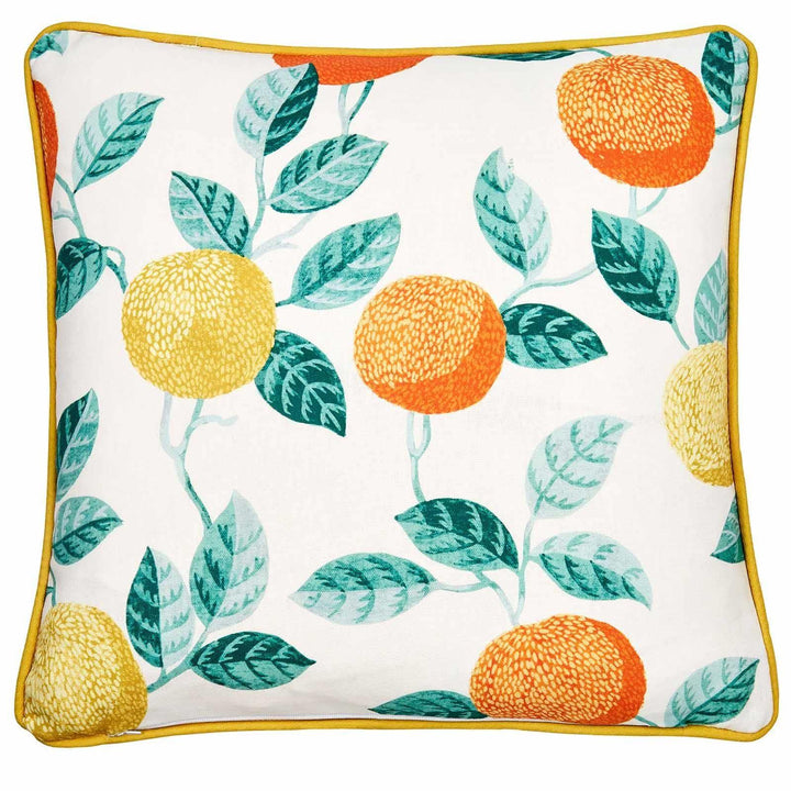 Botanical Fruits Outdoor Cushion Cover - Ideal
