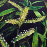 Braywick Velvet Willow Cushion Cover or Filled Cushion 30cm x 50cm - additional product view 5