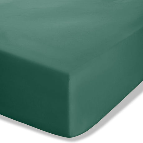 Easy-Iron Percale Extra Deep Fitted Sheet 35cm Deep by Catherine Lansfield