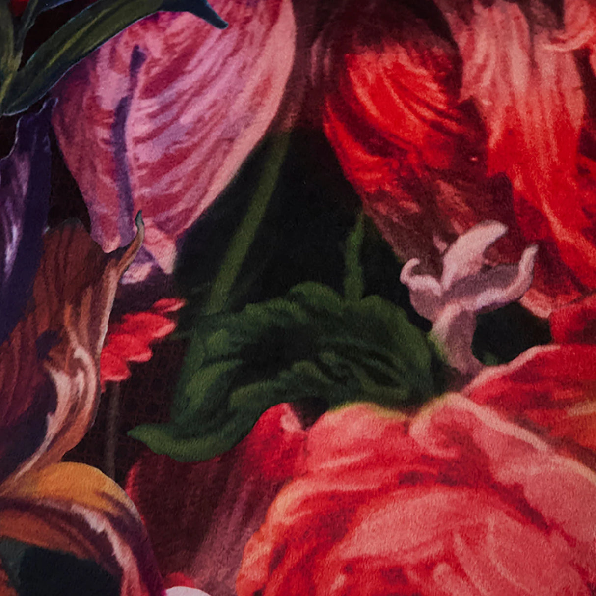 Grande Chintz Multi Cushion 43 x 43cm - product image 4