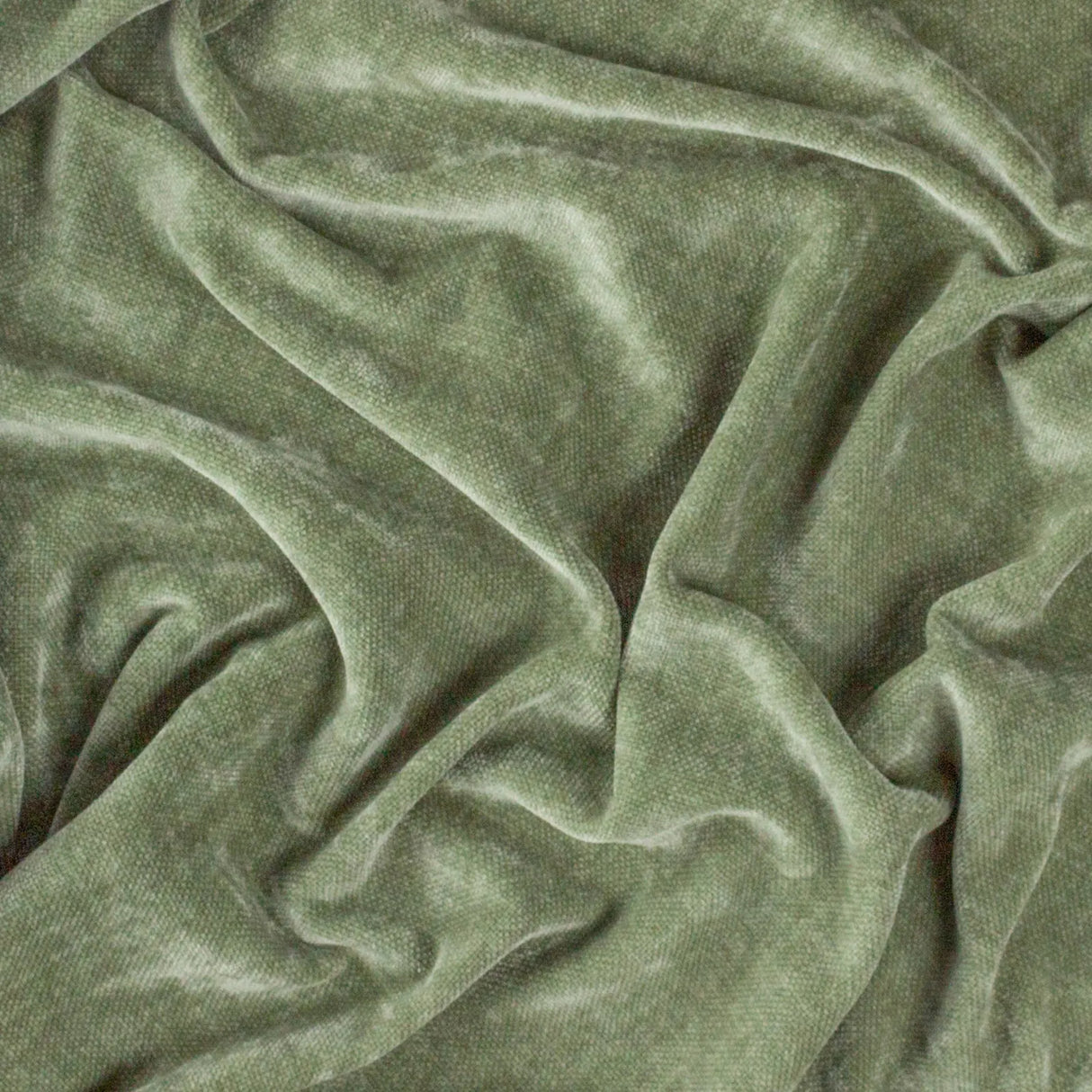Heavy Chenille Velvet Throw Eucalyptus - image 4