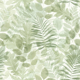 Catherine Lansfield Leaves Wallpaper Green