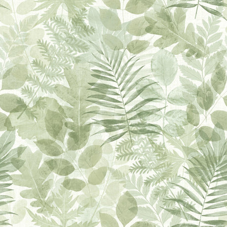 Catherine Lansfield Leaves Wallpaper Green