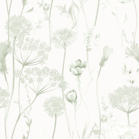 Catherine Lansfield Meadowsweet Floral Wallpaper Sage Green