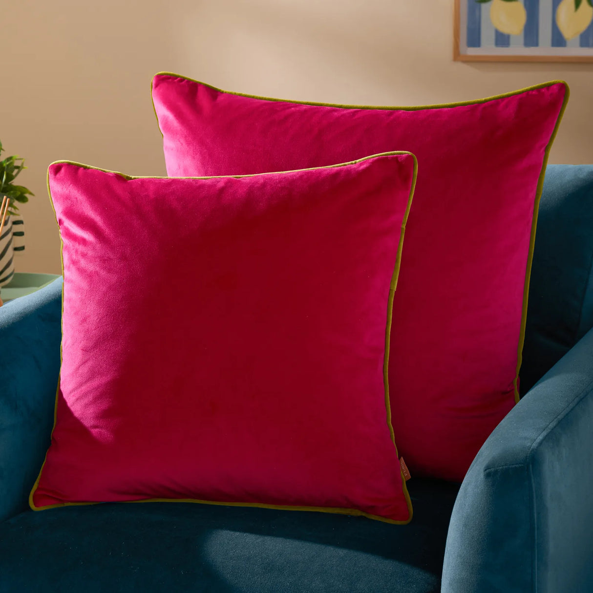 Meridian Velvet Cushion Cover Hot Pink/Lime 45 x 45cm - image 5