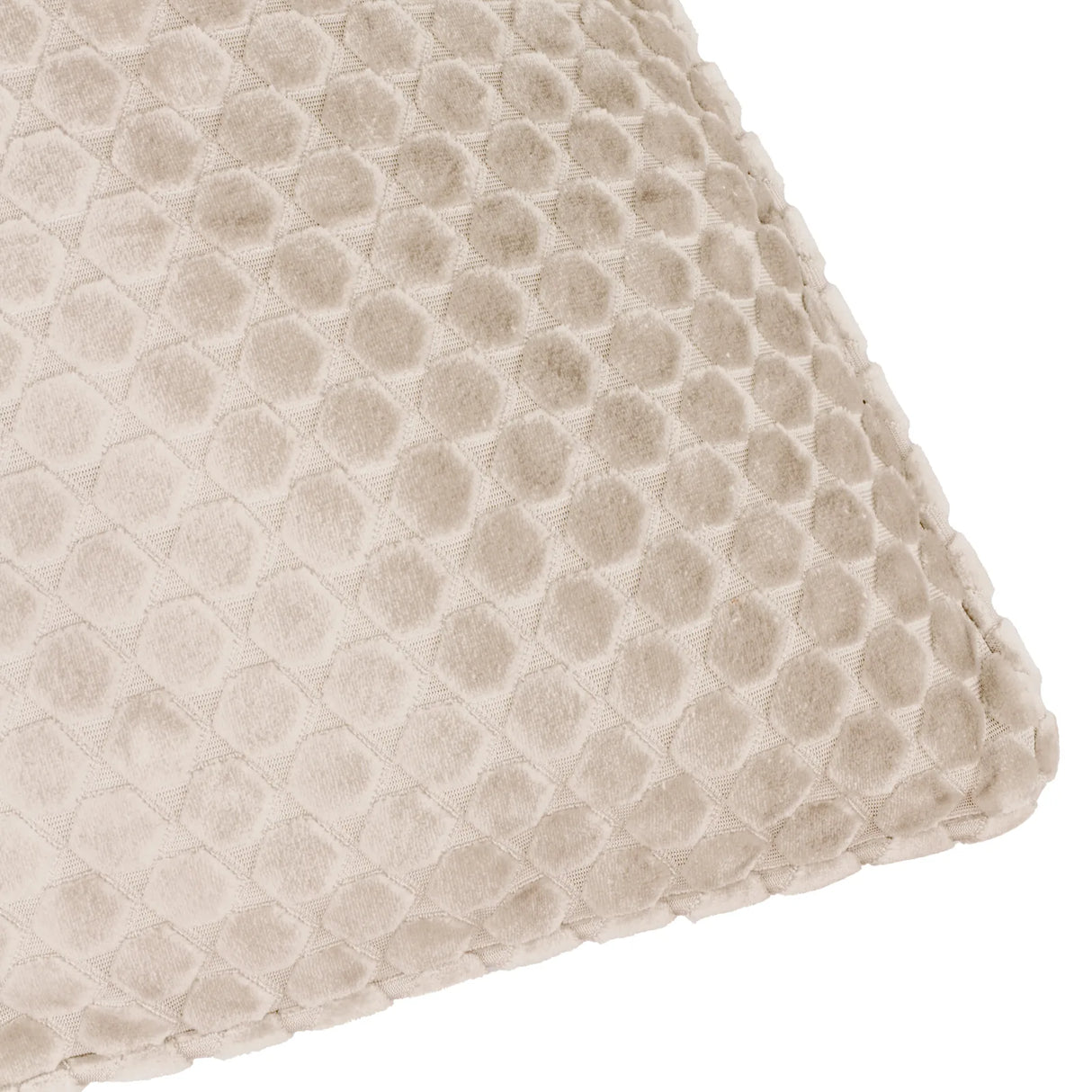 Neptune Velvet Cushion Cover Champagne 50 x 50cm - image 4
