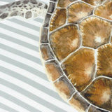 Salcombe Turtle Piped Cushion Cover Multicolour 43 x 43cm - image 5