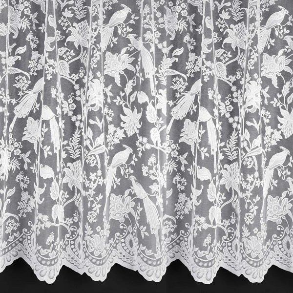 Snowden Lace Net Curtain - Ideal