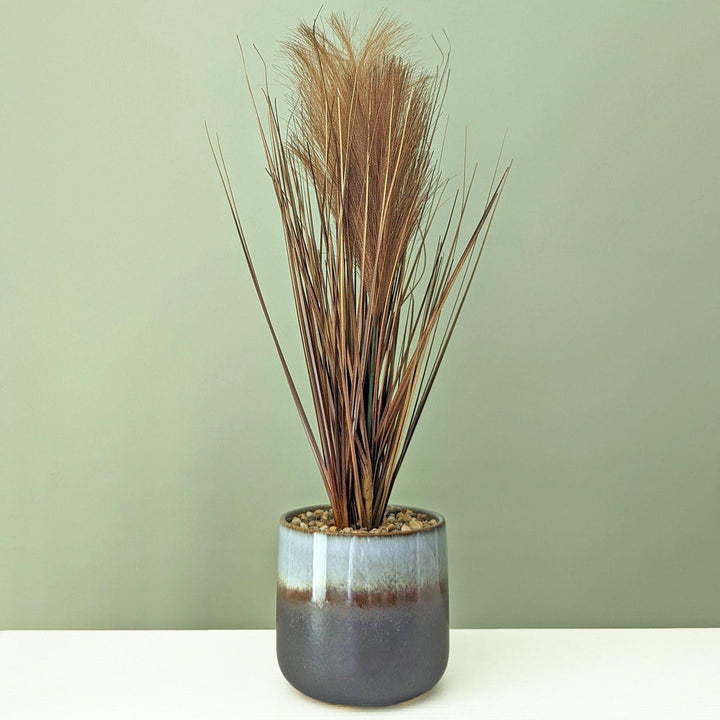 Artificial Pampas Grass in Grey Glaze Pot - Ideal