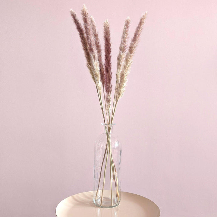 Dried Pampas Grass in Glass Vase - Ideal