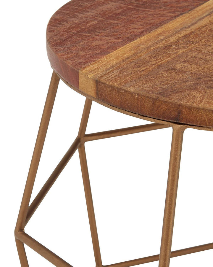 Brass Wireframe Iron and Recycled Wood Side Table - Ideal