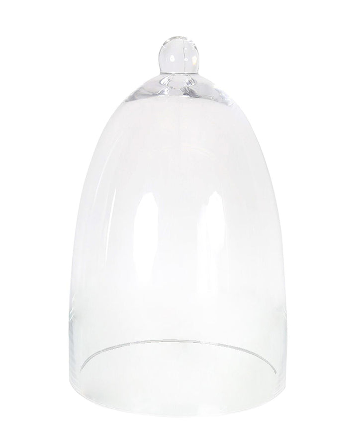 Belle Decorative Glass Dome - Ideal