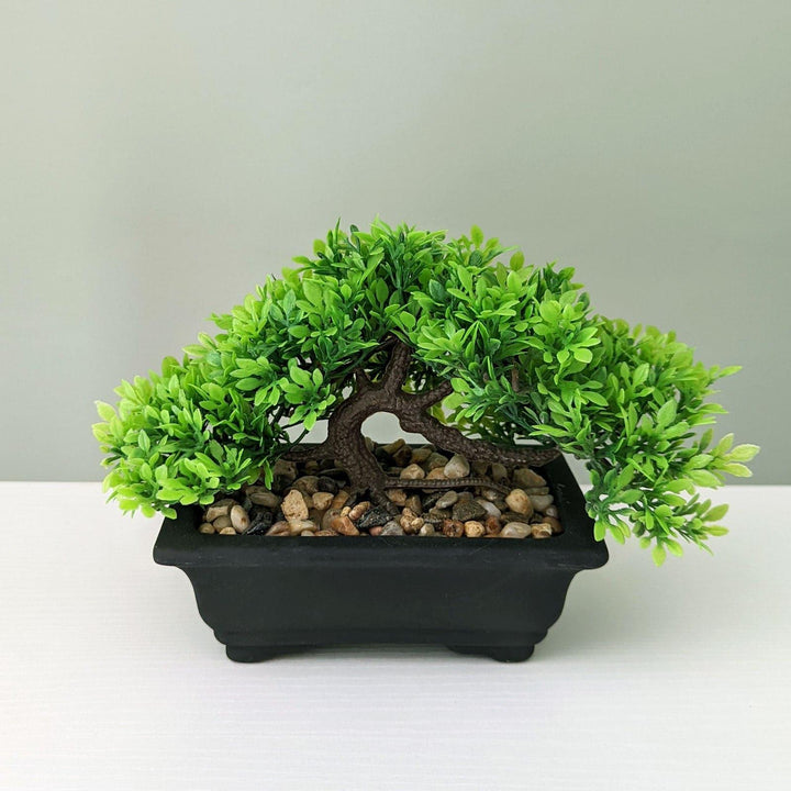 Artificial Boxwood Bonsai Tree in Black Pot -  - Ideal Textiles