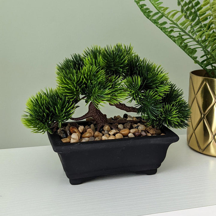 Artificial Fir Bonsai Tree in Black Pot -  - Ideal Textiles