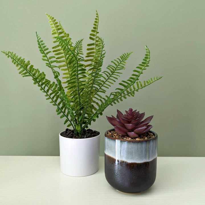 Red Artificial Succulent in Grey Glaze Pot -  - Ideal Textiles