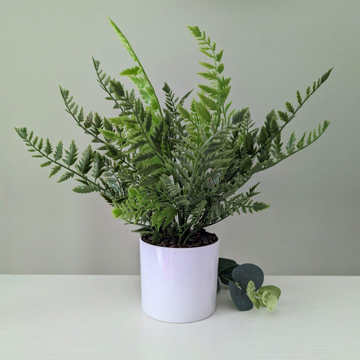 Artificial Woodland Fern in White Pot -  - Ideal Textiles